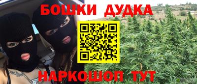 гидра Можга