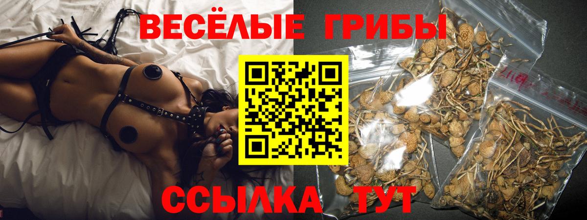 Трёхгорный  Галлюциногенные грибы ЛСД  Вход с VPN 